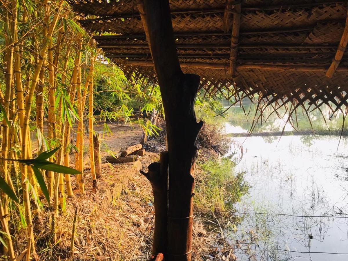 Aliya Riverside & Safari Resort Удавалаве Екстер'єр фото