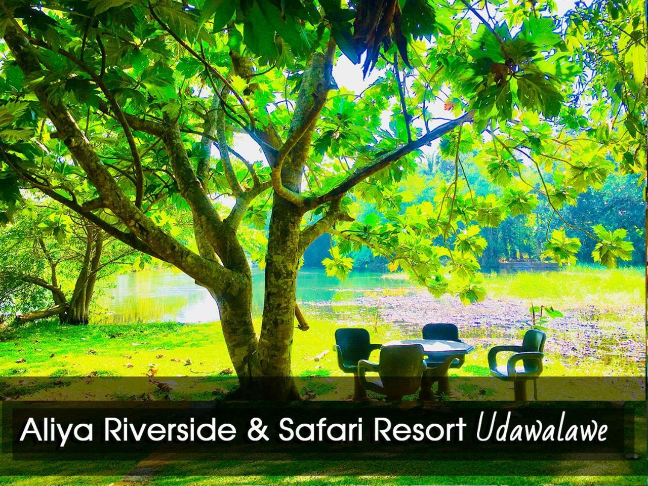 Aliya Riverside & Safari Resort Удавалаве Екстер'єр фото