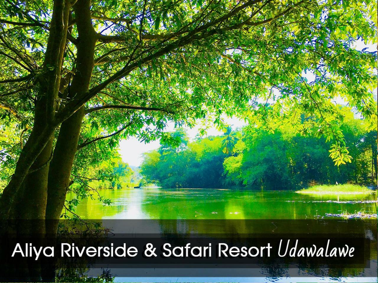 Aliya Riverside & Safari Resort Удавалаве Екстер'єр фото