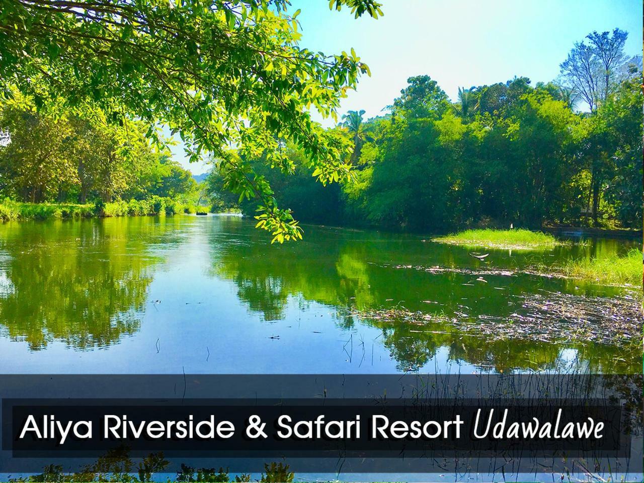Aliya Riverside & Safari Resort Удавалаве Екстер'єр фото