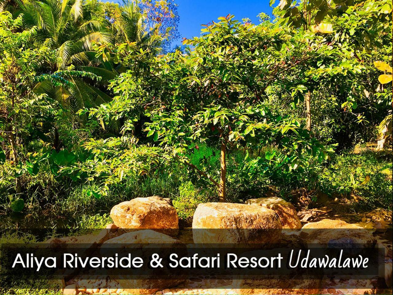 Aliya Riverside & Safari Resort Удавалаве Екстер'єр фото