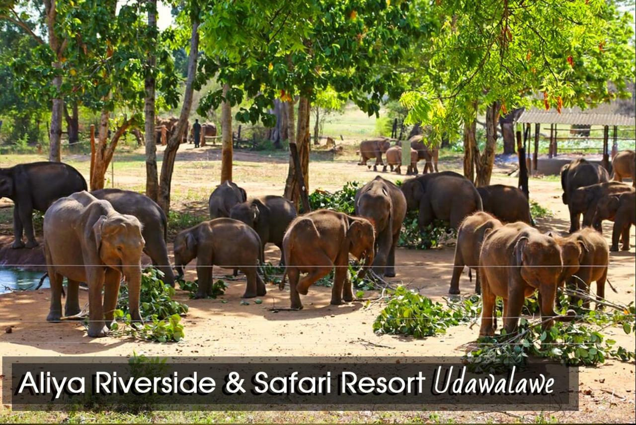 Aliya Riverside & Safari Resort Удавалаве Екстер'єр фото