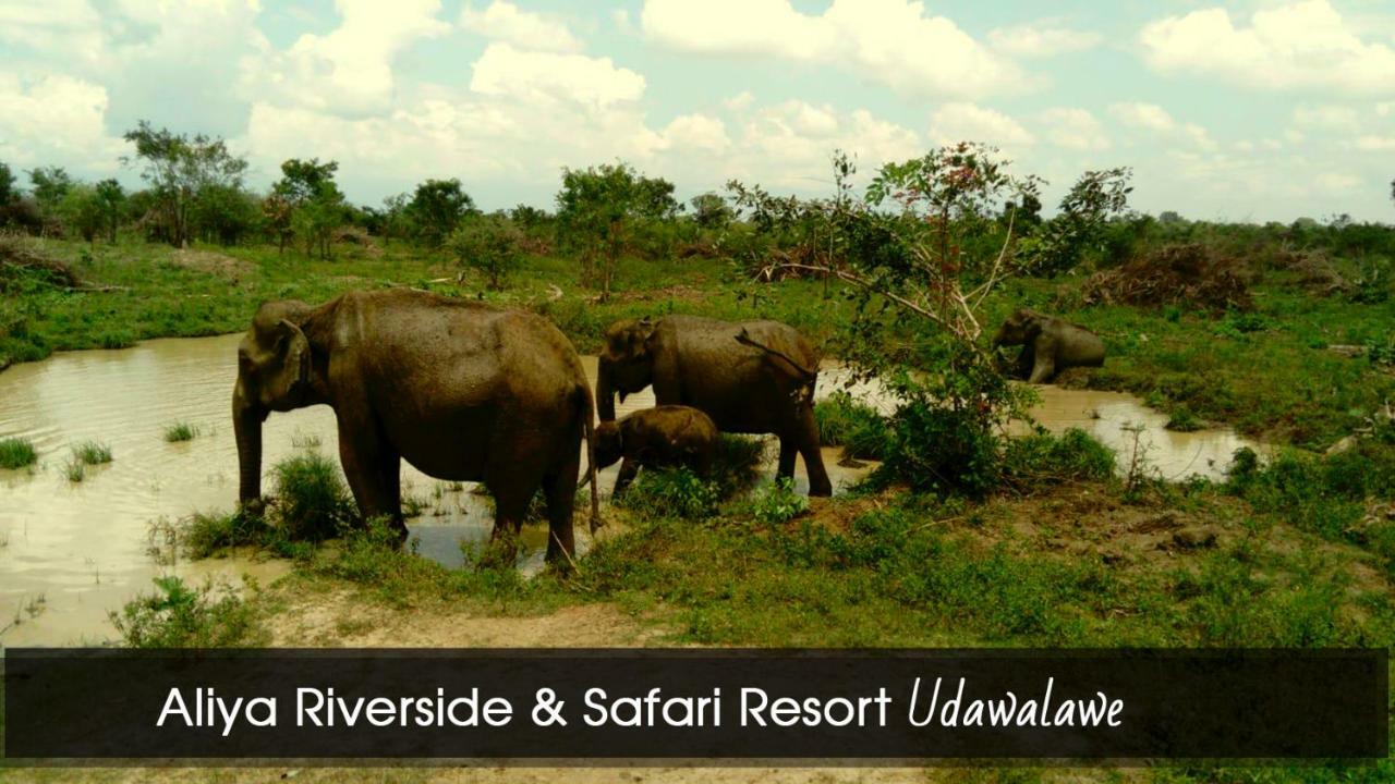 Aliya Riverside & Safari Resort Удавалаве Екстер'єр фото