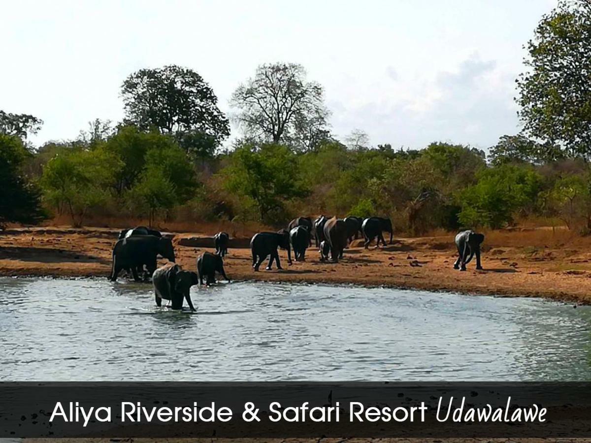 Aliya Riverside & Safari Resort Удавалаве Екстер'єр фото