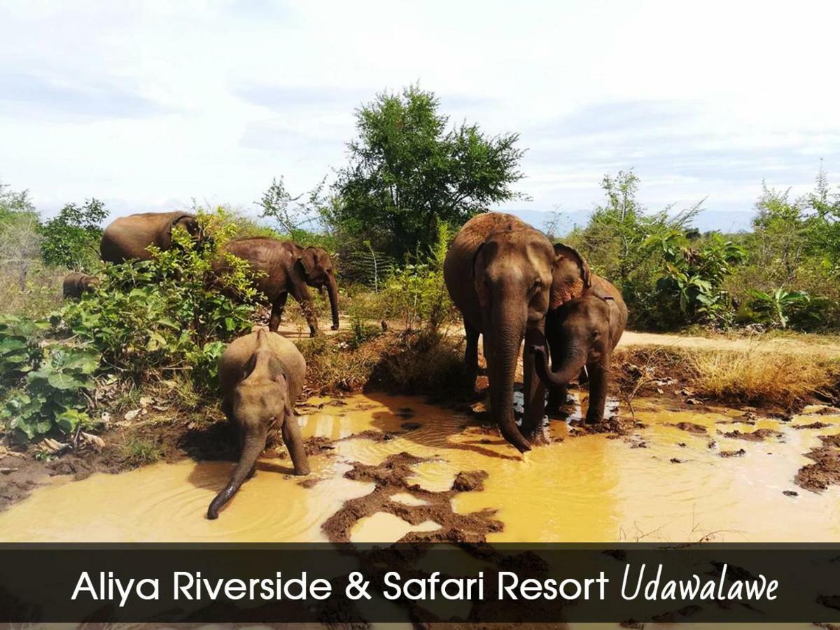 Aliya Riverside & Safari Resort Удавалаве Екстер'єр фото