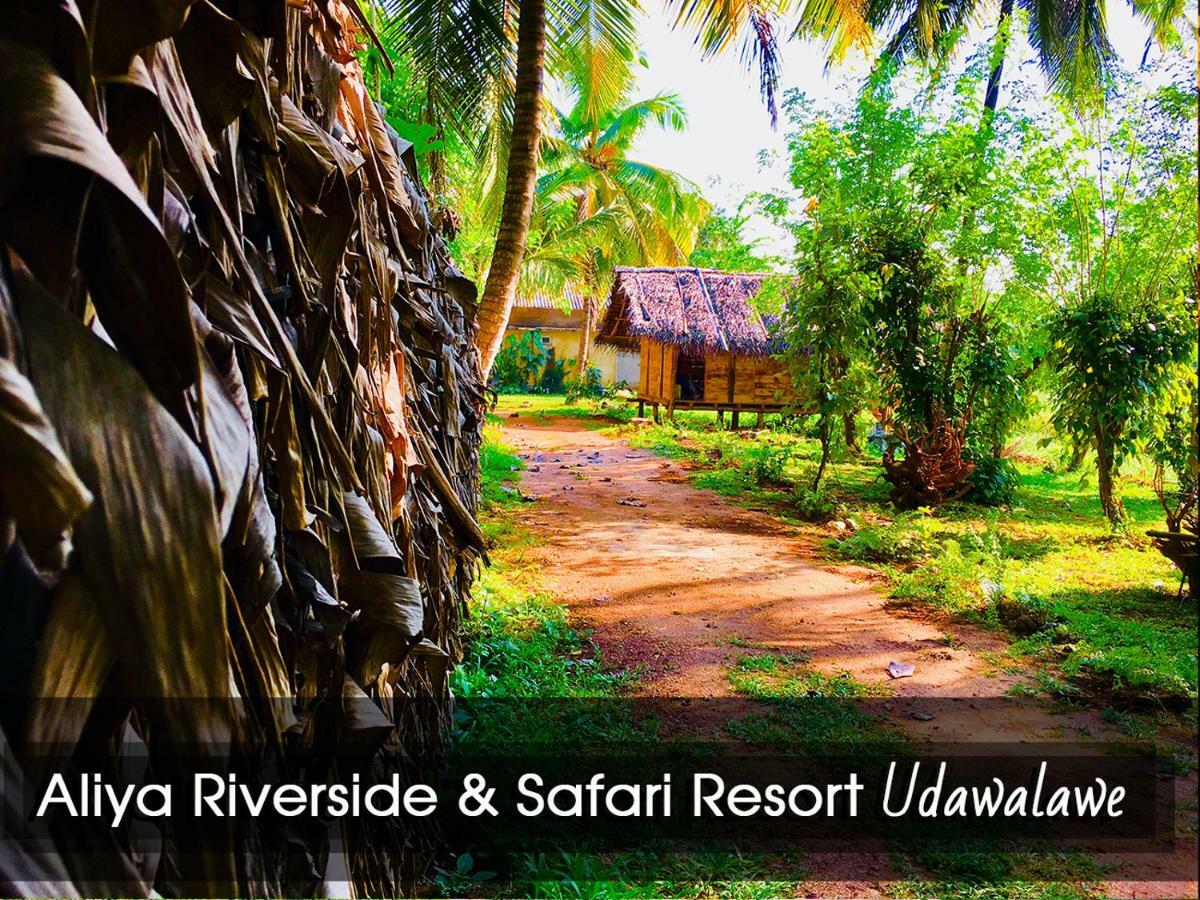 Aliya Riverside & Safari Resort Удавалаве Екстер'єр фото