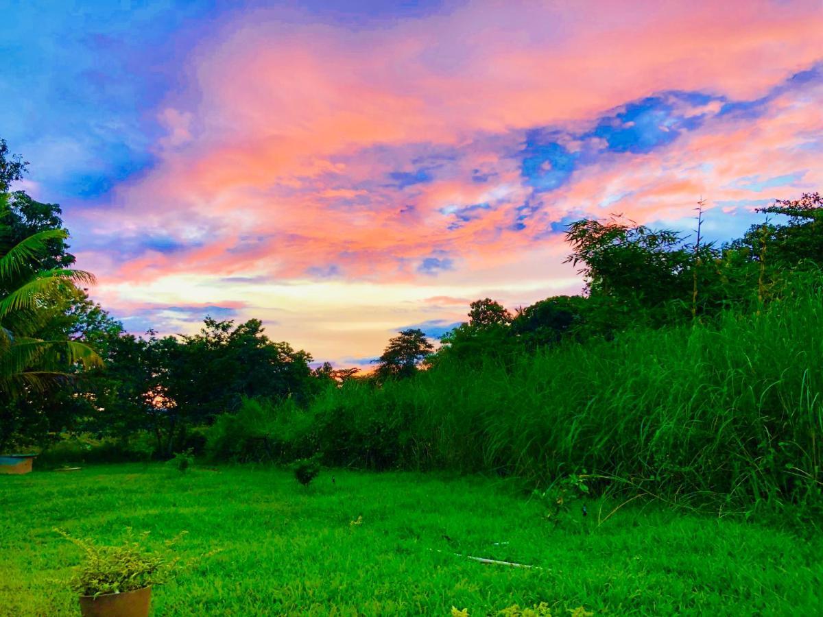 Aliya Riverside & Safari Resort Удавалаве Екстер'єр фото